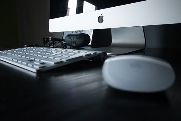 Apple 1838564